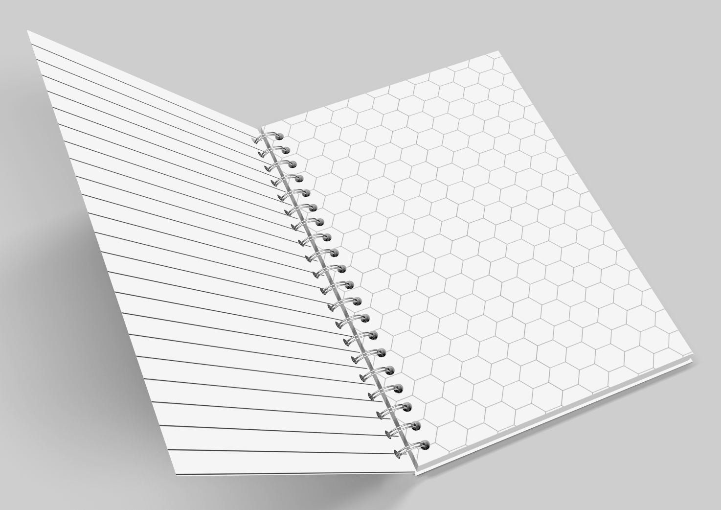 interior flatlay hex and lined pages 40k coilbound notebook